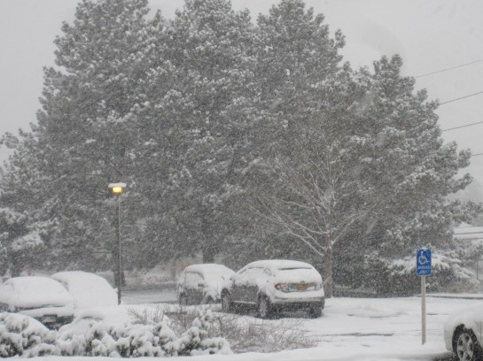 Snow in Colorado