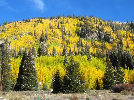 Fall in Colorado - Happy 100 Posts!!