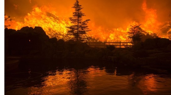 CNN photo forest fire CA